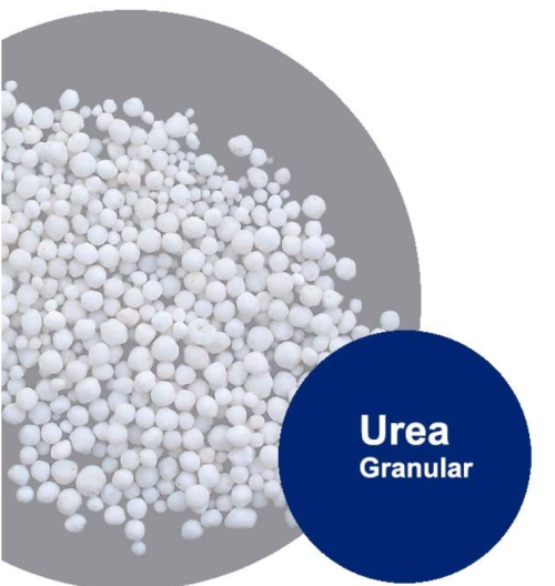 Organic Urea Fertilizer